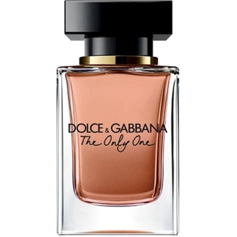 dolce & gabbana dupe fragrances|women dolce.